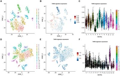 Characterization of tumor-associated reactive astrocytes in gliomas by single-cell and bulk tumor sequencing